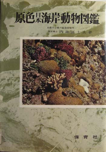 Coloured Illustrations of Sea Shore Animals of Japan