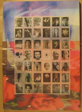 Male Female Installation Conversation; a Two Dimensional Project