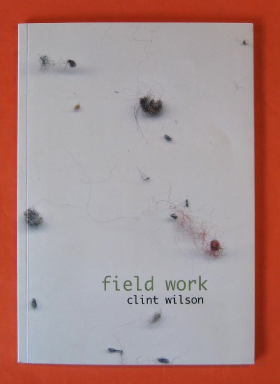 Field Work: Projects for Artist Run Culture