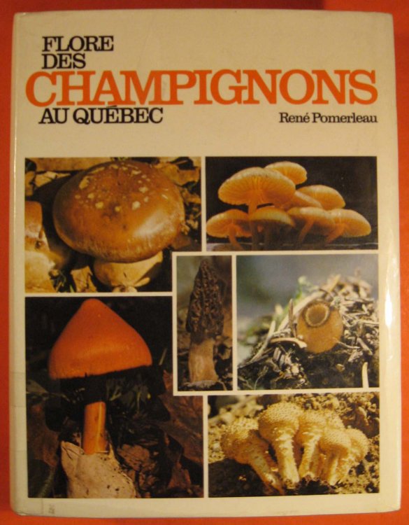 Flore Des Champignons Au Quebec et Regions Limitrophes