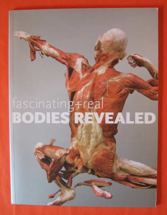 Fascinating + Real Bodies Revealed