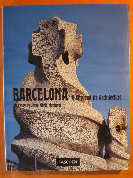 Barcelona: A City and Its Architecture (Big Series Art)