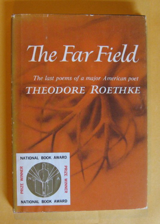 The Far Field