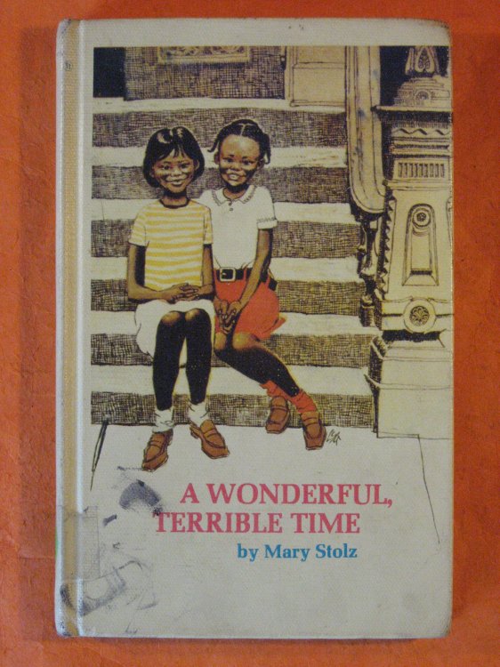 A Wonderful, Terrible Time