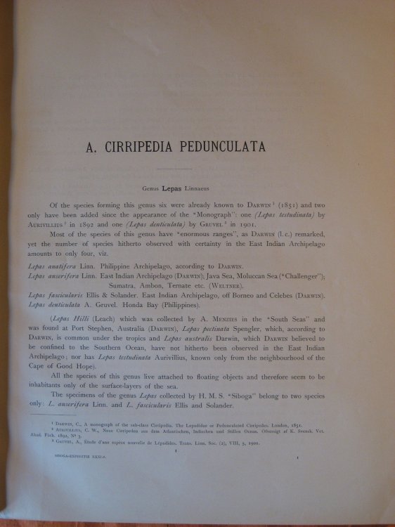 A. Cirripedia Pedunculata
