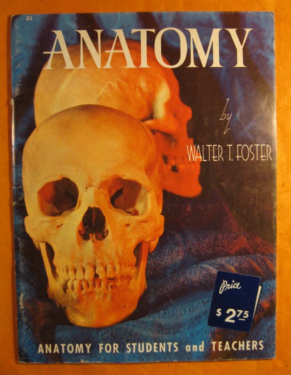 Anatomy