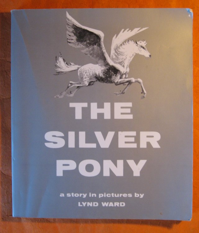 The Silver Pony: A Story in Pictures