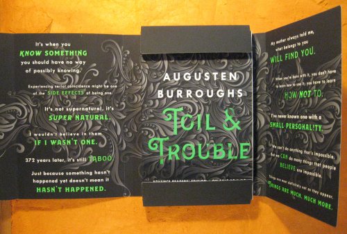 Toil & Trouble: A Memoir