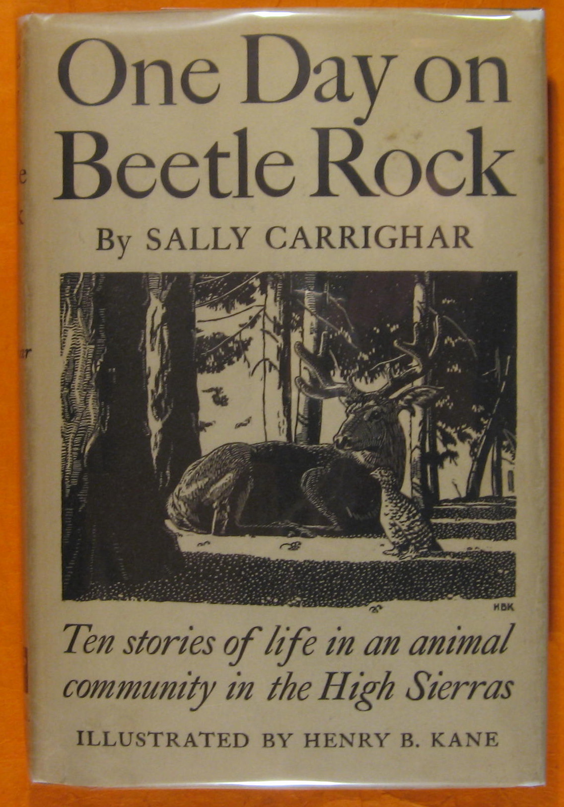 One Day on Beetle Rock