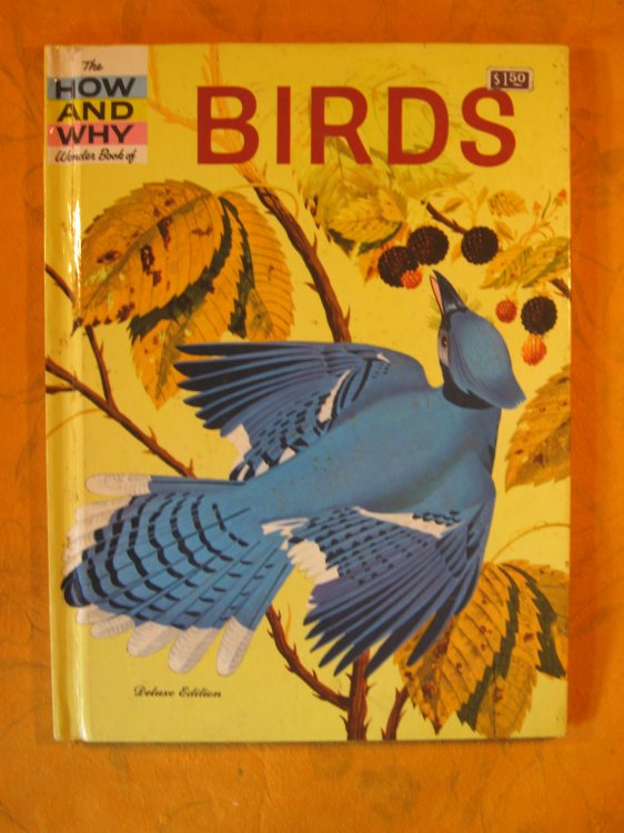 The How and Why Wonder Book Birds