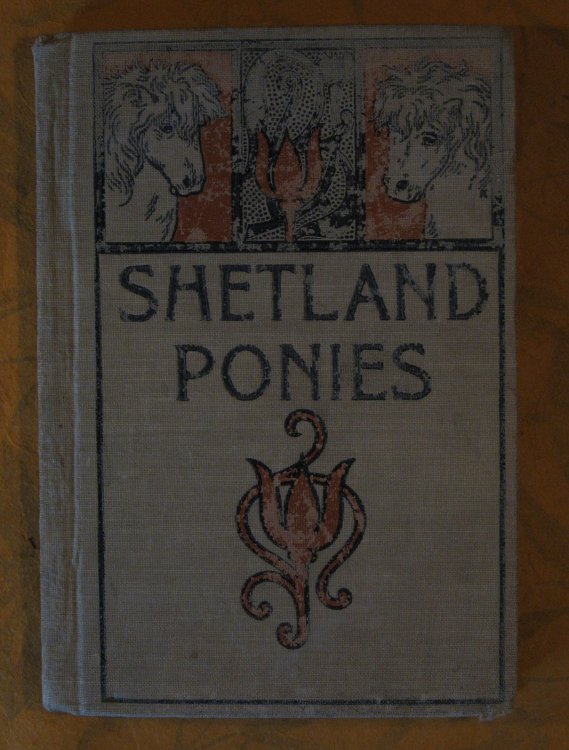Shetland Ponies and Other Stories