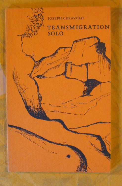 Transmigration Solo