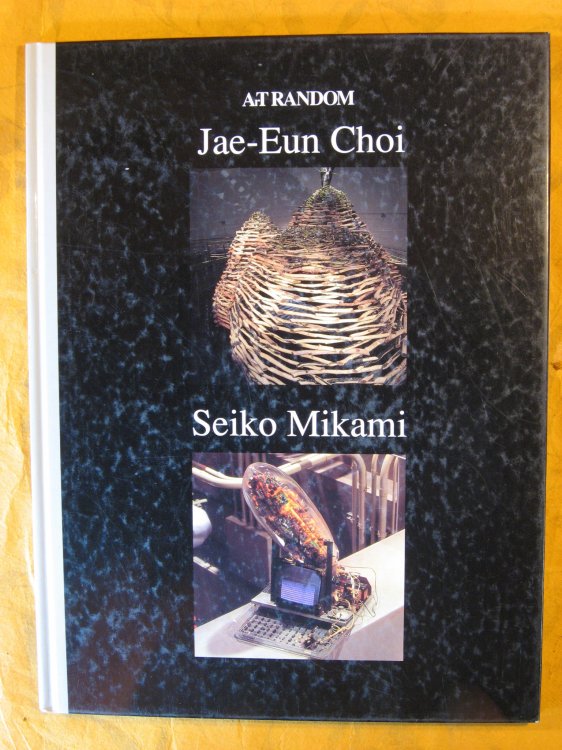Jae-Eun Choi and Seiko Mikami, Art Random #34