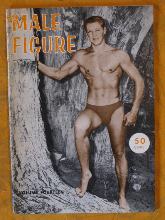 The Male Figure Volume Fourteen