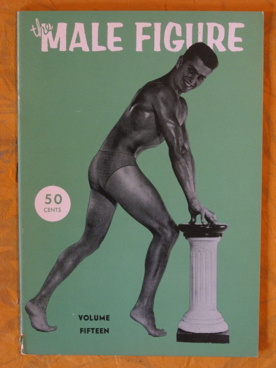 The Male Figure Volume Fifteen