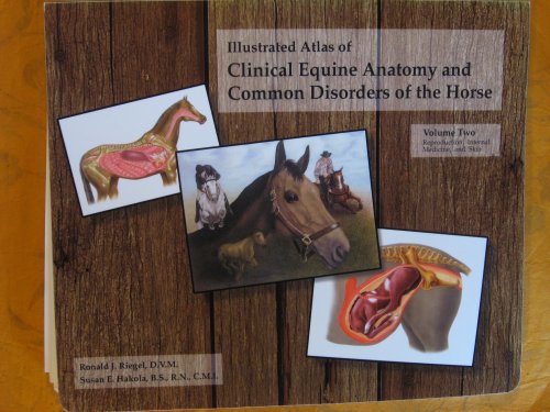 Illustrated Atalas of Clinical Equine Anatomy and Common Disorders of the Horse Volume Two: Reproduction, Internal Medicine, and Skin