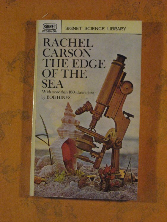 Edge of the Sea, The