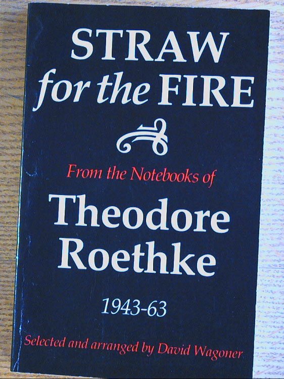 Straw for the Fire : From the Notebooks of Theodore Roethke, 1943-63