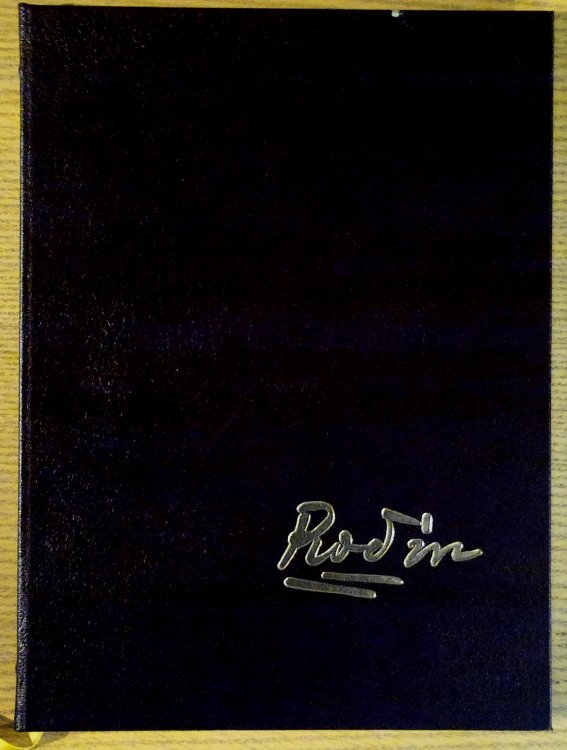 Rodin
