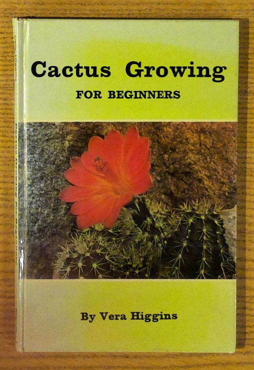 Cactus Growing for Beginners