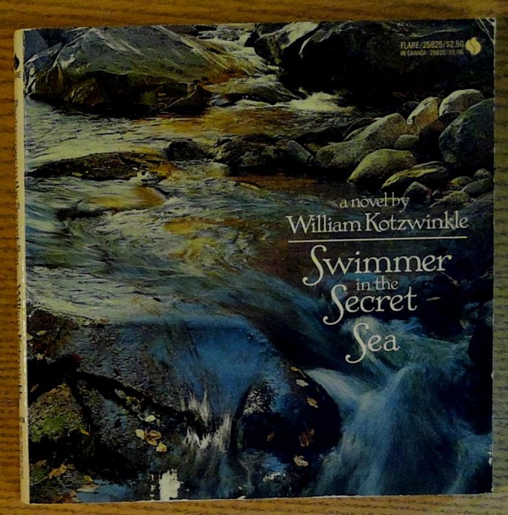 Swimmer in the Secret Sea