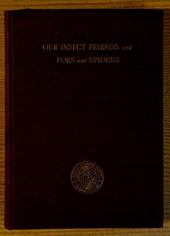 Our Insect Friends and Foes and Spiders : A Series of Fascinating Stories of Bee, Ant, Beetle, Bug, Fly, Butterfly, Moth, and Spider Life; With Sixty-four Pages Reproducing Over 500 Insects and Spiders and Their Habits in Their Natural Colors