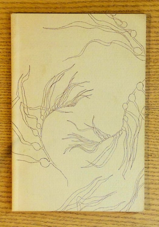 The Poet & The Dancer