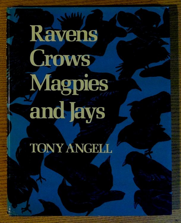 Ravens, Crows, Magpies and Jays