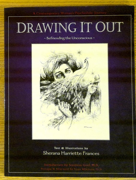 Drawing It Out : Befriending the Unconscious: (A Contemporary Woman's Psychedelic Journey)