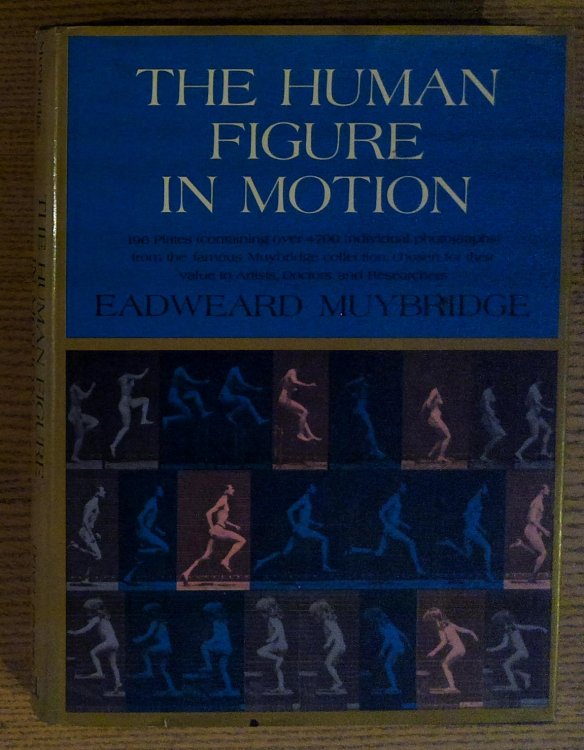 The Human Figure in Motion
