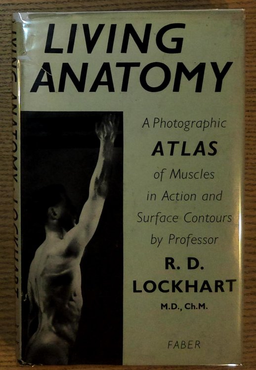 Living Anatomy: a Photographic Atlas of Muscles in Action and Surface Contours