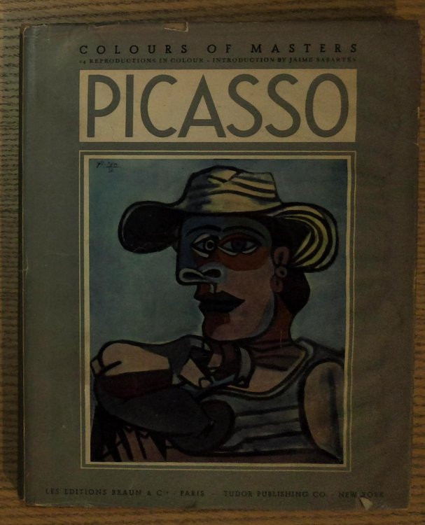 Paintings and Drawings of Picasso