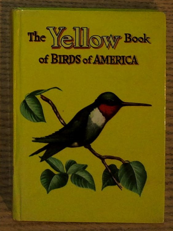 The Yellow Book of Birds of America: Swallows, Wrens, Hummingbirds, Flycatchers, Woodpeckers, Phoebes, Quail, Etc.