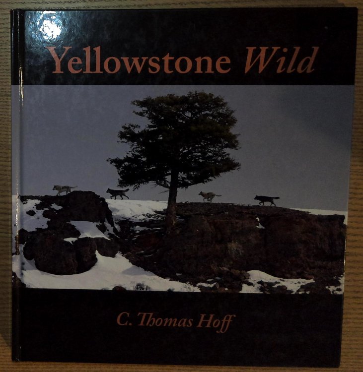 Yellowstone Wild