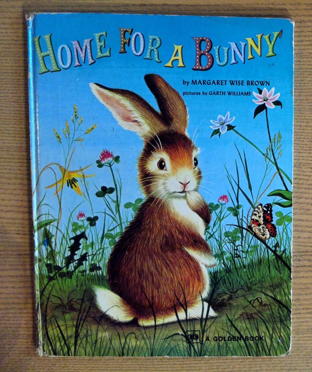 Home for a Bunny