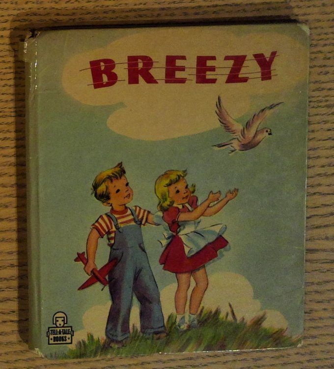 Breezy, The Air-Minded Pigeon