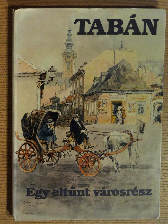 Taban: Egy Eltunt Varosresz (Taban: A Lost Part of Town); Zorad Erno