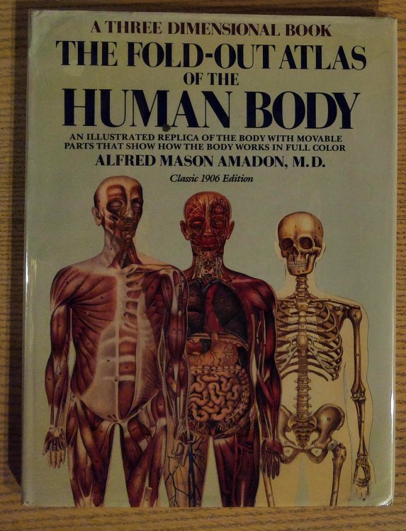 The Fold-Out Atlas of the Human Body: An Illustrated Replica of the Body with Movable Parts That Show How the Body Works in Full Color