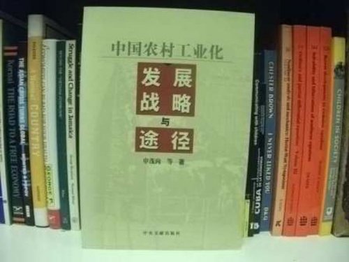 Chinese Rural Industrialization Development Strategy and Approach