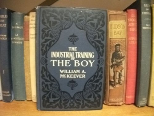 The Industrial Training of the Boy