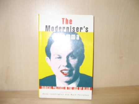 Image for The Moderniser's Dilemma: Radical Politics in the Age of Blair The Moderniser's Dilemma: Radical Politics in the Age of Blair