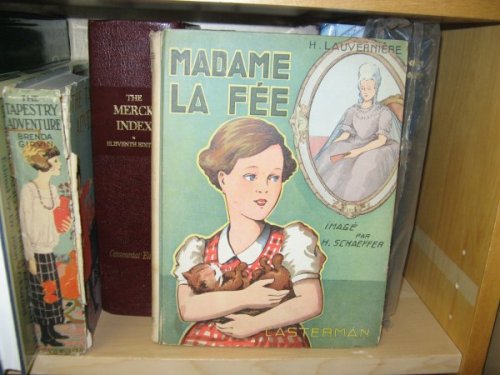 Image for Madame La Fee Madame La Fee