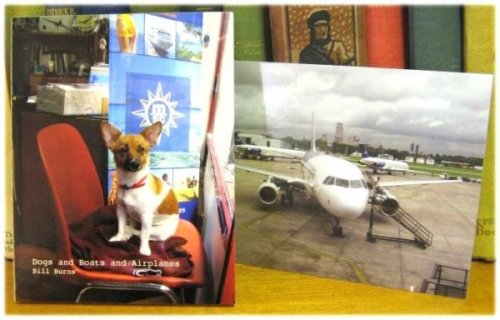 Dogs and Boats and Airplanes