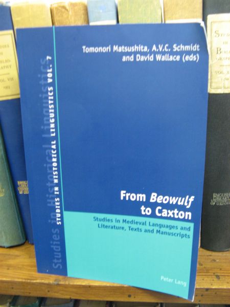 From Beowulf to Caxton: Studies in Medieval Languages and Literature, Texts and Manuscripts
