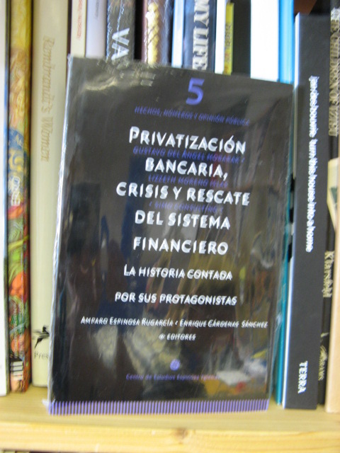 Privatizacion Bancaria, Crisis y Rescate del Sistema Financiero: La Historia Contada por sus Protagonistas: Tomo 5: Hechos, Numeros y Opinion Publica