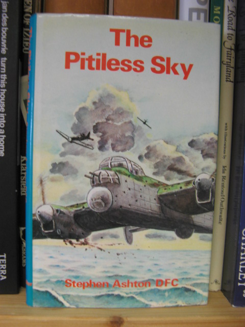 The Pitiless Sky