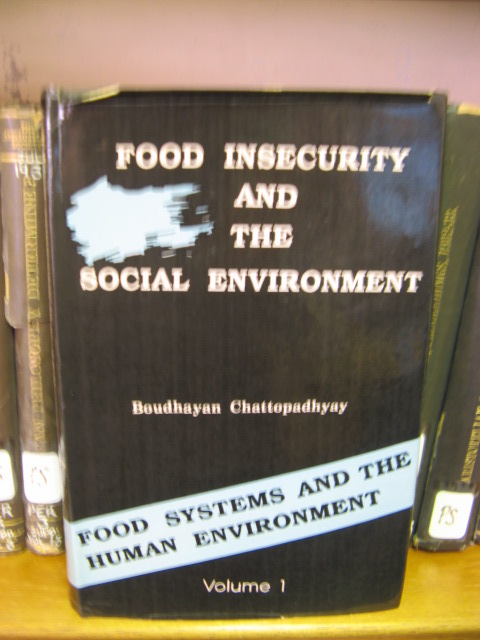 Food Systems and the Human Environment in Eastern India: Volume 1: Food Insecurity and the Social Environment