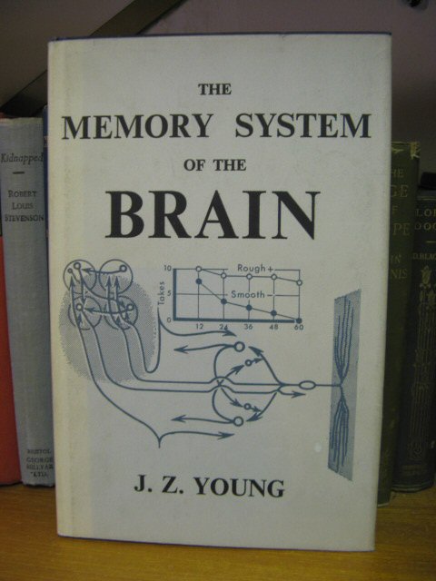 The Memory System of the Brain