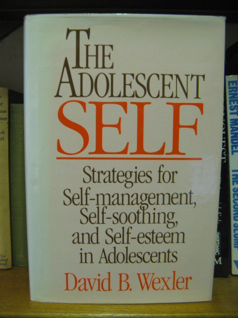 The Adolescent Self: Strategies for Self-management, Self-soothing, and Self-Esteem in Adolescents