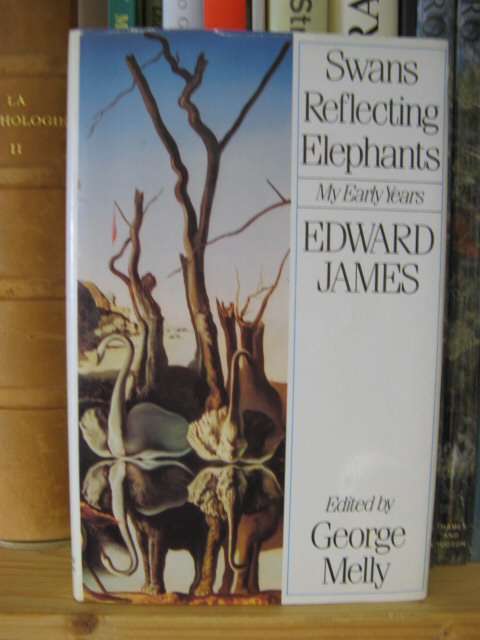 Swans Reflecting Elephants: My Early Years